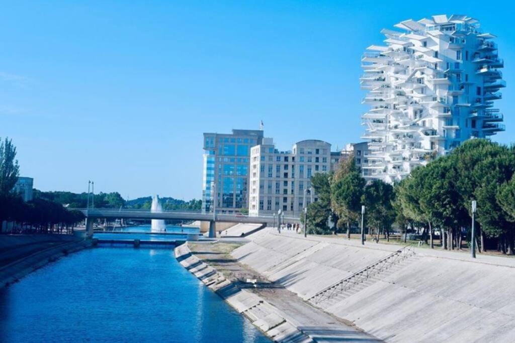 Appartement T2 A L'Arbre Blanc Montpellier Extérieur photo